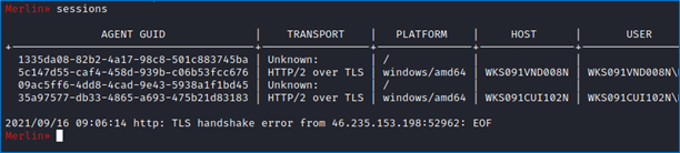 Physical Pentest: connection to our Command &amp; Control server.