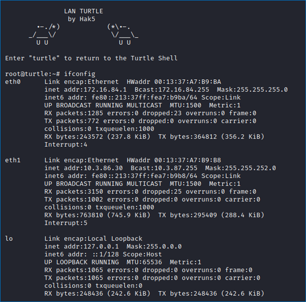 Physical Pentest: connecting the LanTurtle to the internal network.  